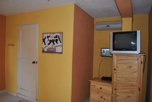 Hotel Gusto Tropical Room